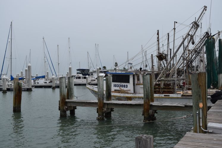 Shrimp Boats - CC Marina