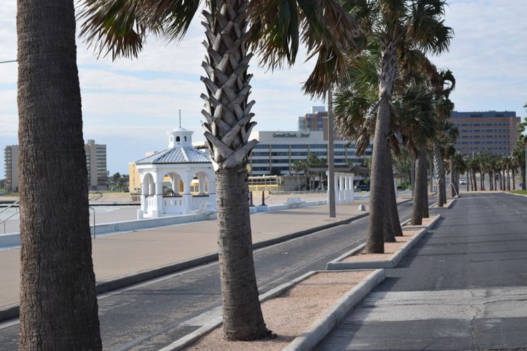 Shoreline Boulevard at Water's Edge