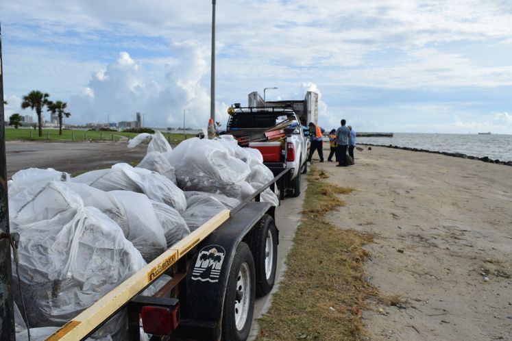 Post-Hanna Cole Park Cleanup