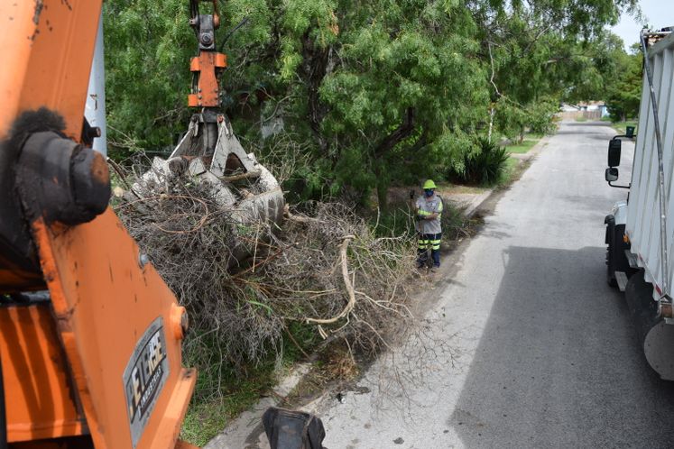 Solid Waste Brush Pick-up