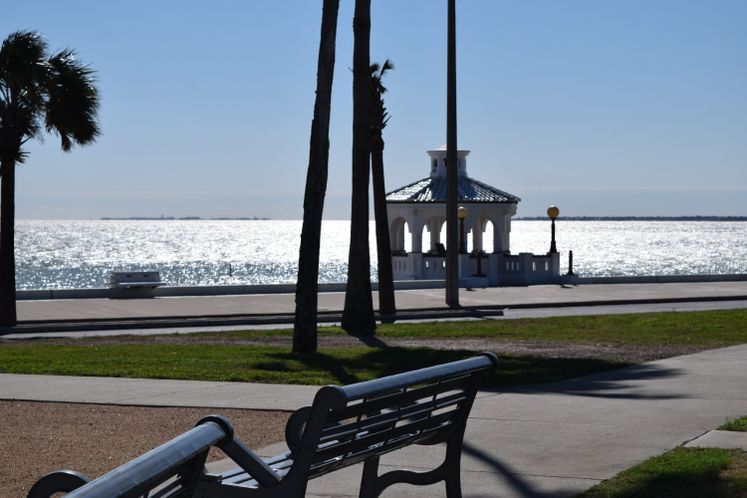 View from The Water's Edge Park