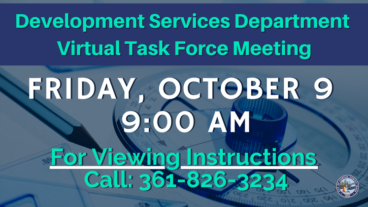 Graphic 10-7-20 Virtual Task Force Meeting 1