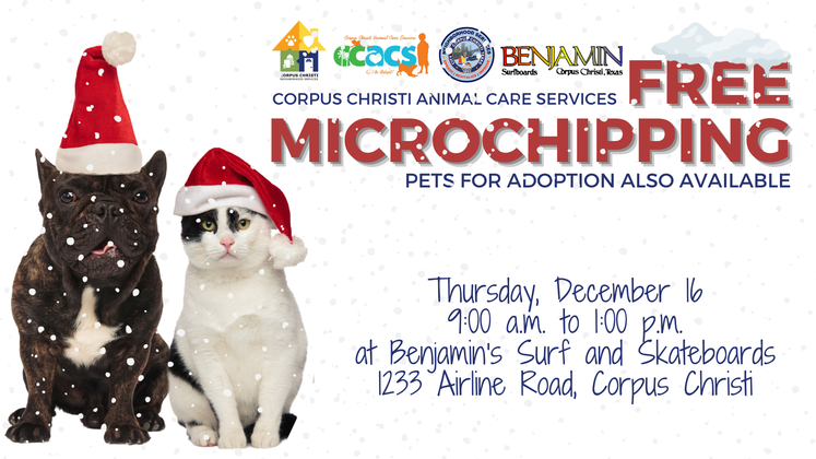 _Free Microchips 12-07-21 2