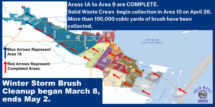 winter brush cleanup