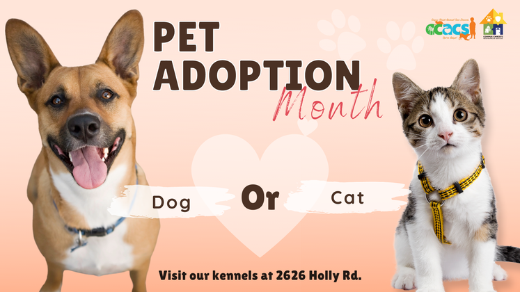 Pet adoption Month