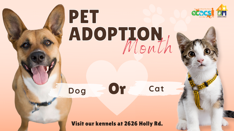 Pet adoption Month 