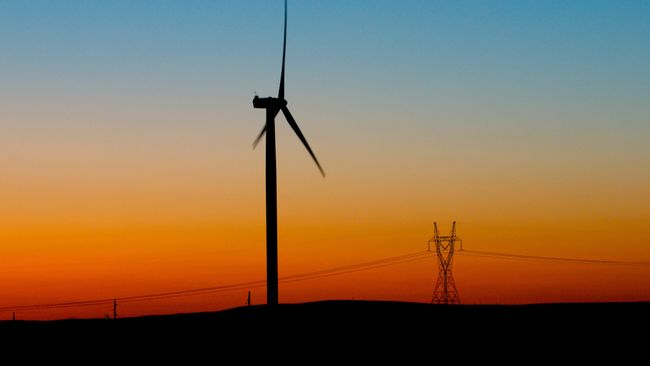 Duke Energy's 'Batman' is making this Halloween safer...for the bats