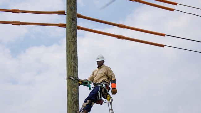 Better connected than the CEO