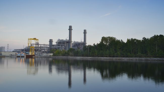 Duke Energy invests $1 million to promote water quality in the Cape Fear region