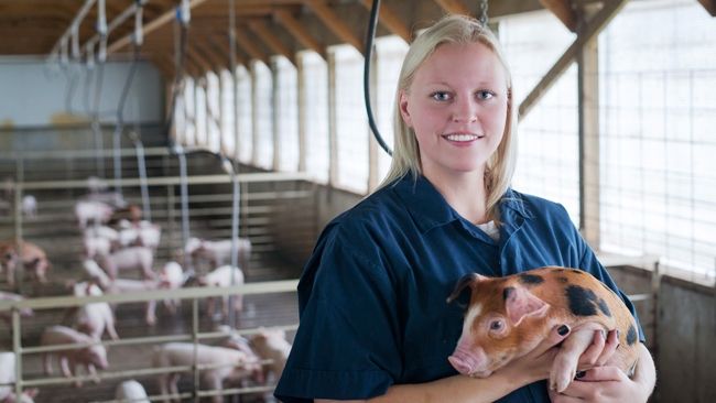 Duke Energy inks second innovative swine waste power deal in 2016