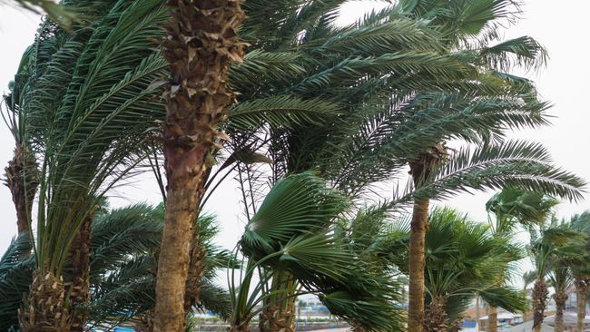 Duke Energy continues to battle heavy rain and wind due to Tropical Storm Colin