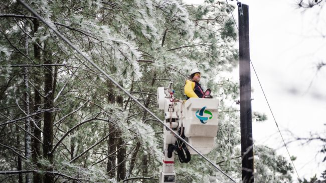 Duke Energy wins award for its successful restoration effort after Winter Storm Jonas