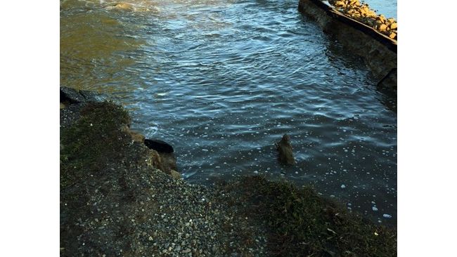 Cooling Pond Breach