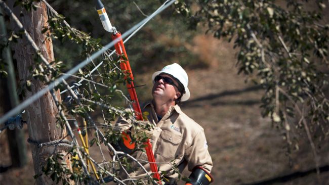 Duke Energy tackles outages in Florida; 800,000 restored after Hurricane Irma