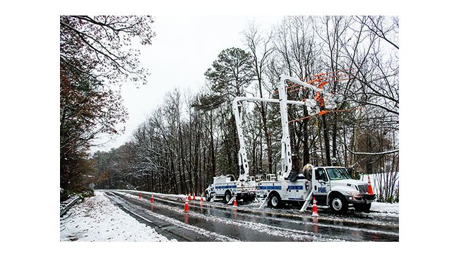 Winter Storm Recovery - Raleigh, N.C. Area