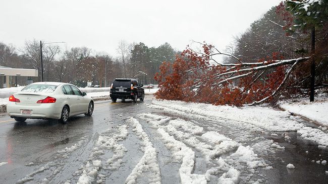 Winter Storm Recovery - Raleigh, N.C. Area