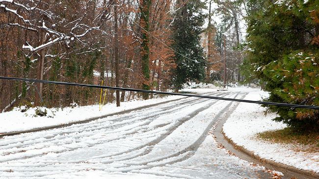 Winter Storm Recovery - Raleigh, N.C. Area