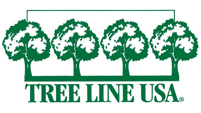 Arbor Day Foundation recognizes Duke Energy Florida as Tree Line USA utility for 13th consecutive year