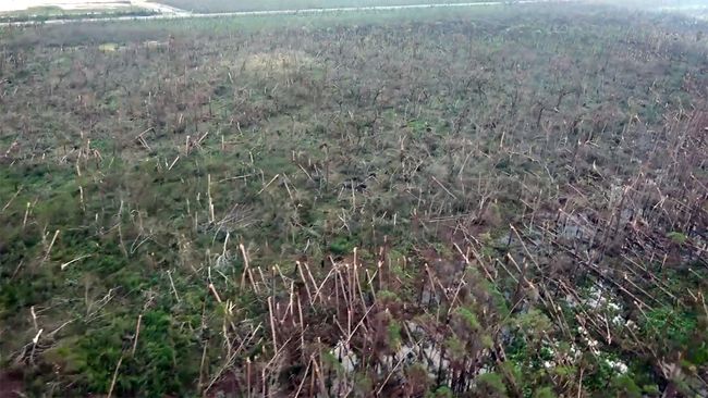 Hurricane Michael Img