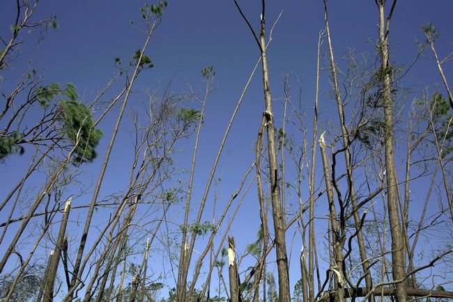Hurricane Michael Img