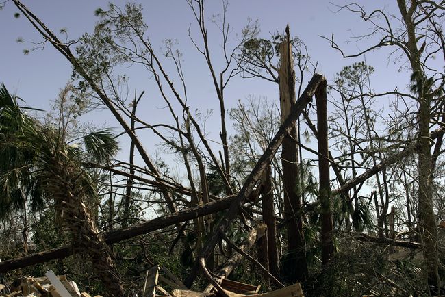 Hurricane Michael Img