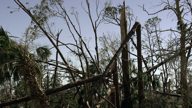 Hurricane Michael Img