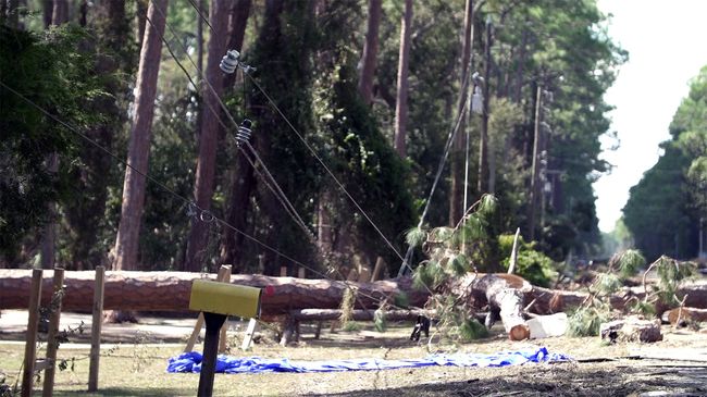 Hurricane Michael Img