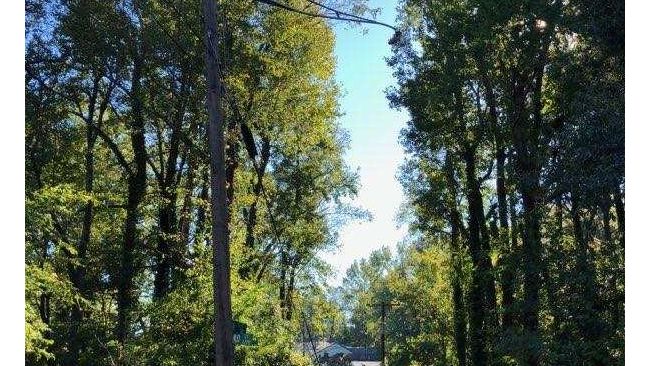 Hurricane Michael Carolinas