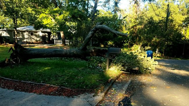 Hurricane Michael Carolinas