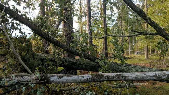 Hurricane Michael Carolinas