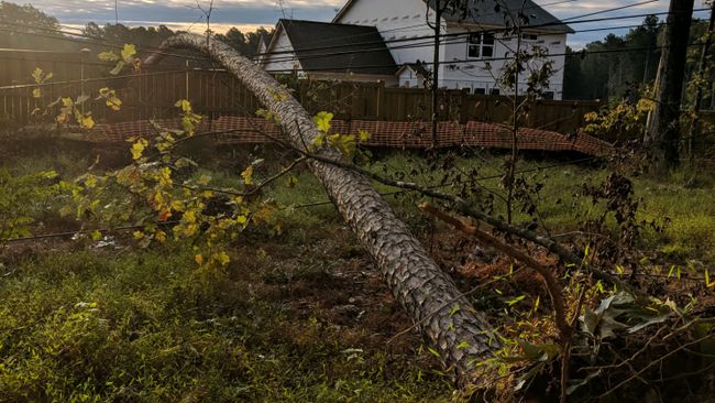 Hurricane Michael Carolinas