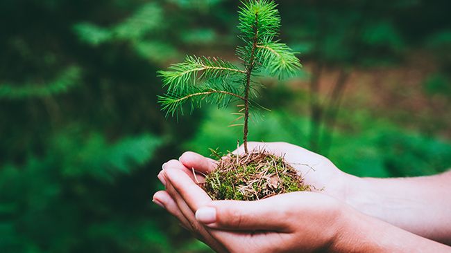 Duke Energy invests more than $200,000 in projects that help preserve and enhance southwest Ohio’s and Northern Kentucky’s natural resources