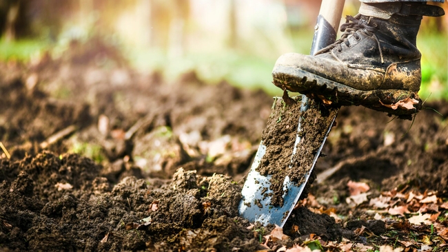 Duke Energy and Piedmont Natural Gas urge everyone to call 811 before digging 