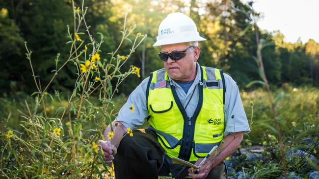 Duke Energy supports local conservation efforts with $550,000 in funding for North Carolina environmental impact programs 