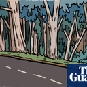 Fire-starting weed or ecological scapegoat? The battle over California's eucalyptus trees Fire-starting weed or ecological scapegoat? The battle over California's eucalyptus trees