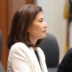 Chief Justice Tani G. Cantil-Sakauye