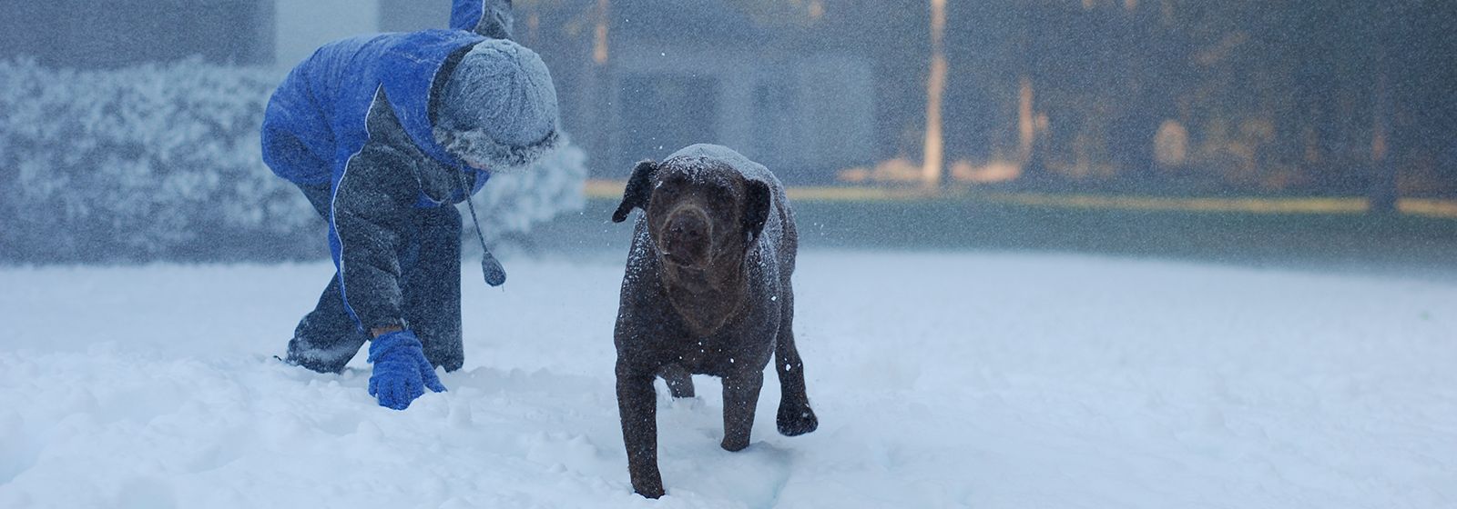 (Over) engineering life 