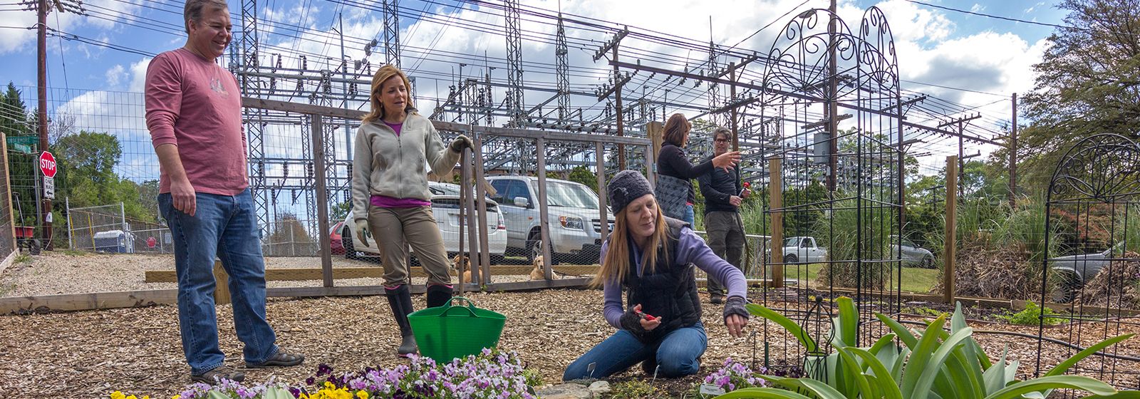 Her daring email launched garden at substation