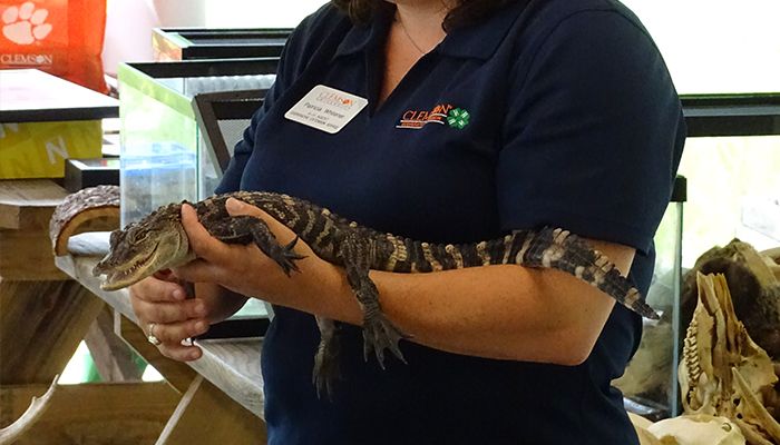 ClemsonClassroomPS10