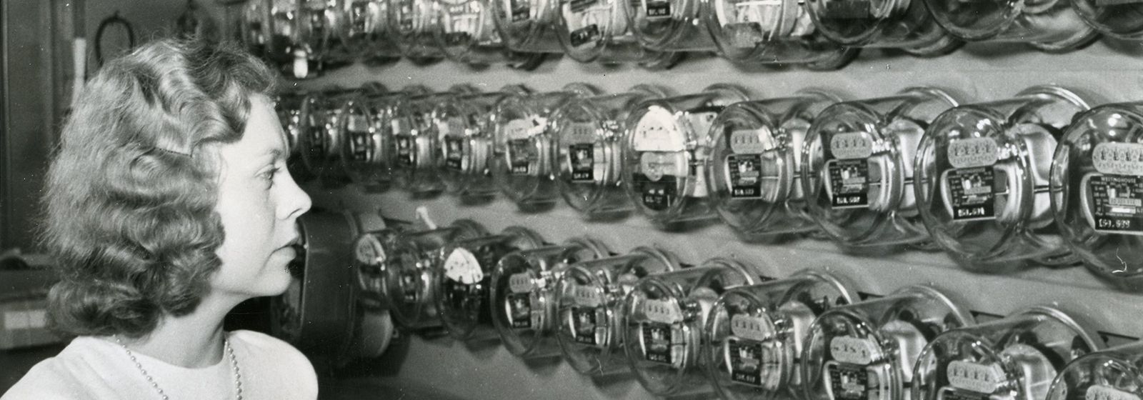 Throwback Thursday: Mystery meters and celebrating Bad Creek