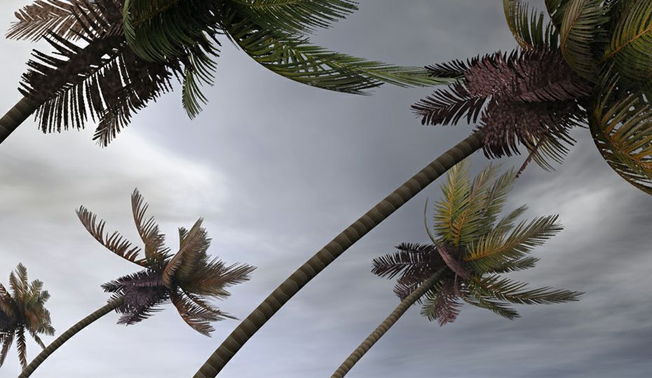 4 storm myths busted to keep you safe