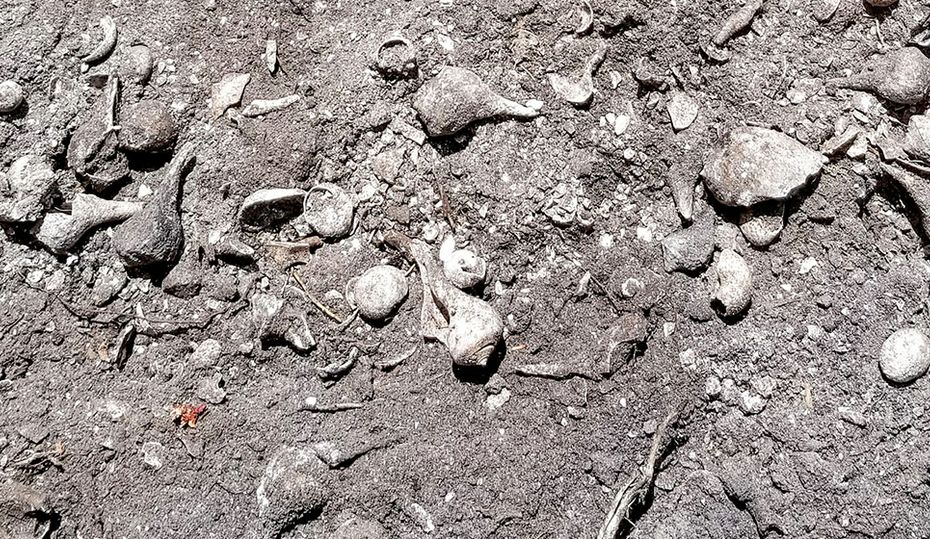 2018-0702-artifact-hero