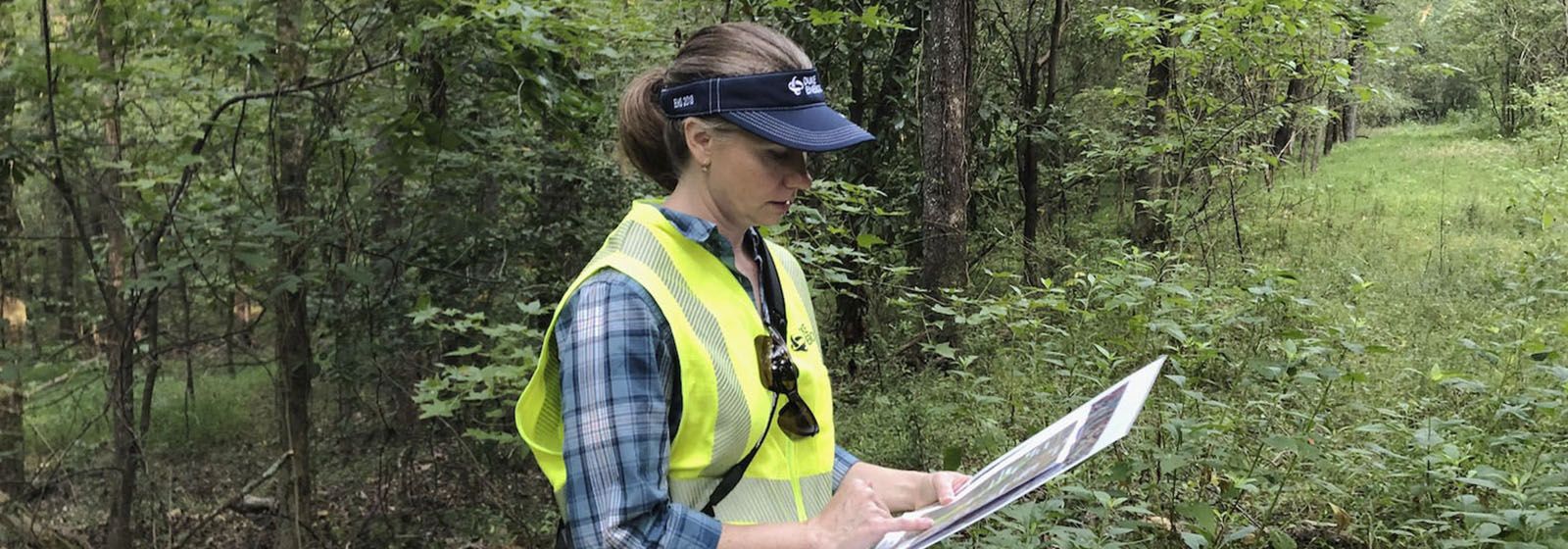 how to look at the world like an environmental scientist duke environmental scientist
