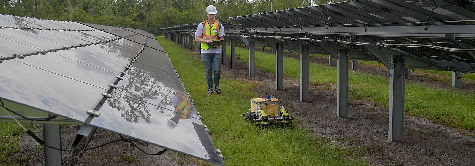 Innovation gets in the weeds under solar panels Duke Energy illumination