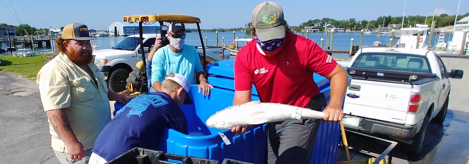 Unusual donation of redfish feeds hungry in Florida