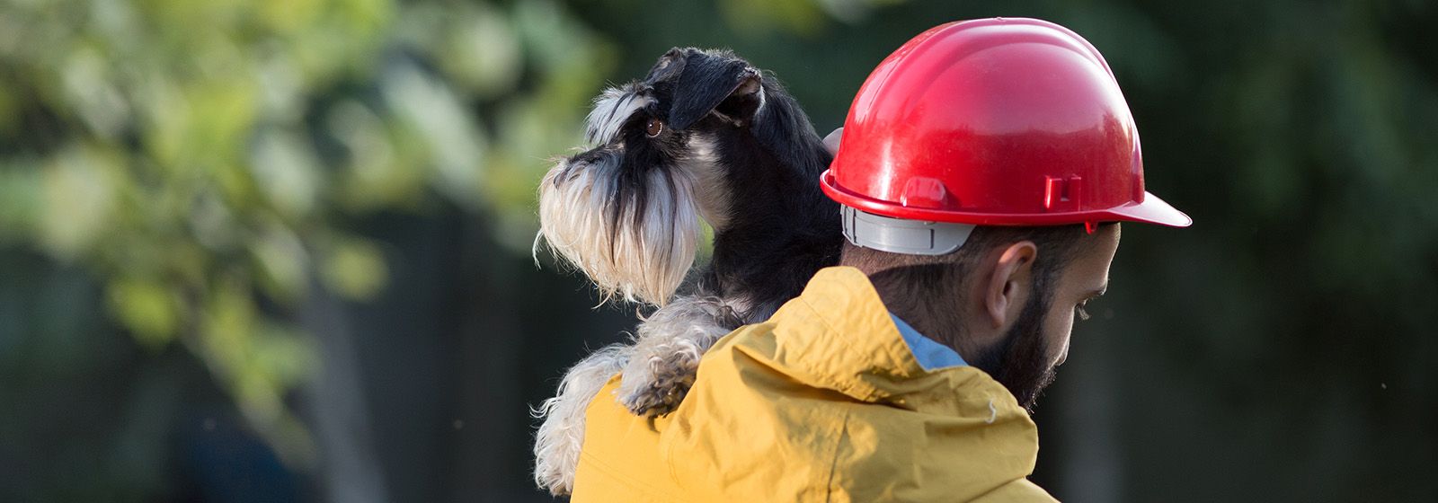 Simple emergency preparedness plans for your pets