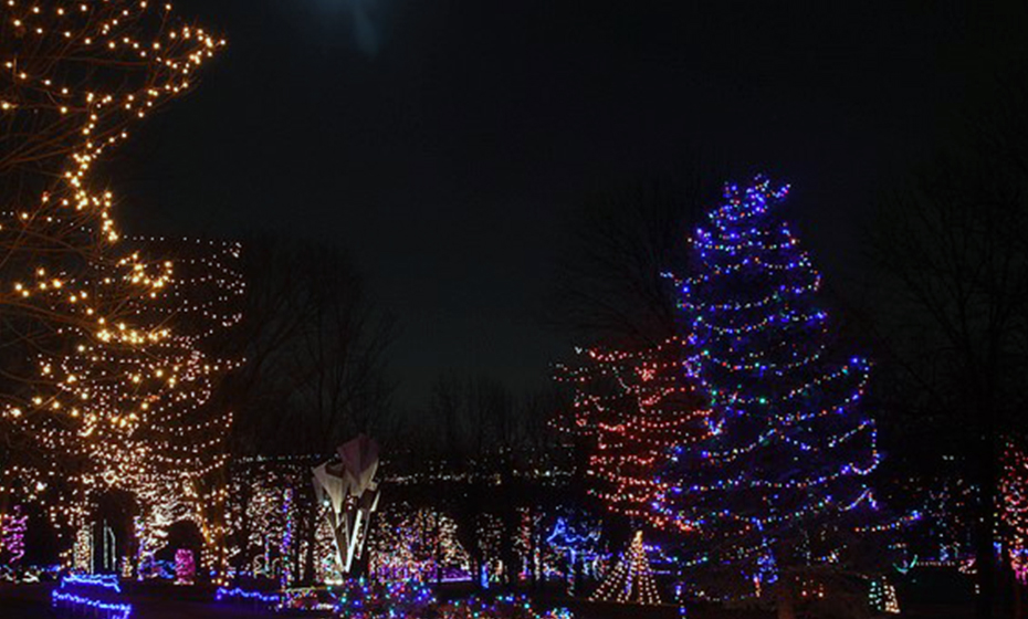Belmont Nc Christmas Lights 2022 Ooh' And 'Aah' At A Holiday Light Display In Your State | Duke Energy |  Illumination
