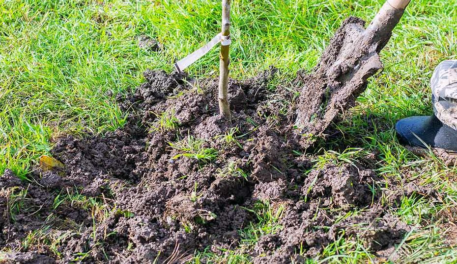 Call 811 before you start digging