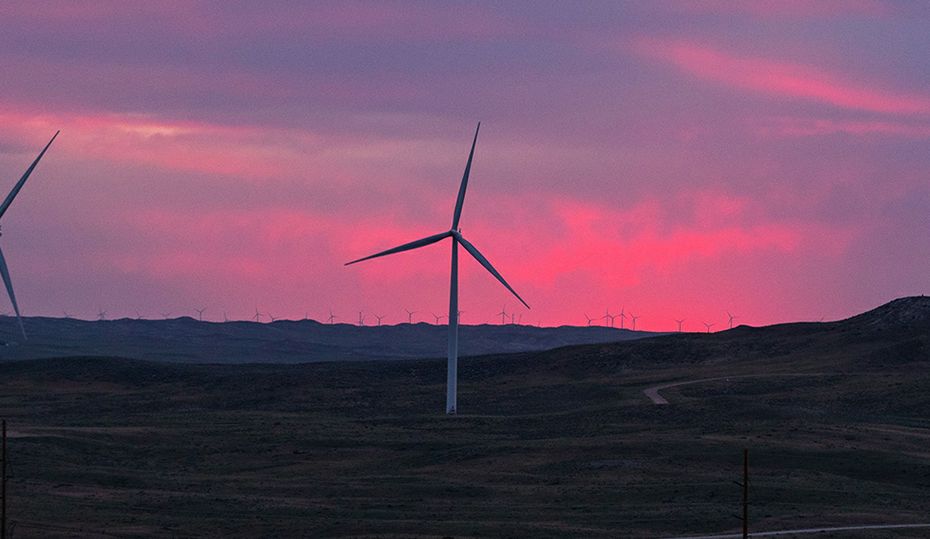 Your 10 favorite illumination stories from 2021