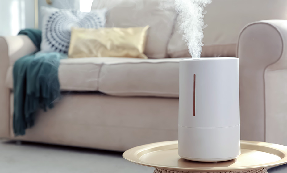 2022-0209-EE-FAQ-humidifier
